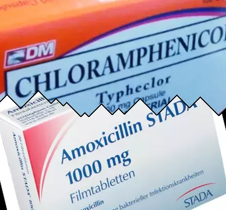 Cloramfenicolo contro Amoxicillina