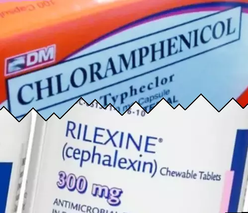 Cloramfenicolo contro Cefalexina
